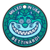 Bettinardi Blue Turquoise Fat Cat Putting Disc