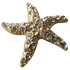 3D Starfish Crystal Ball Marker &amp; Hat Clip by ReadyGOLF