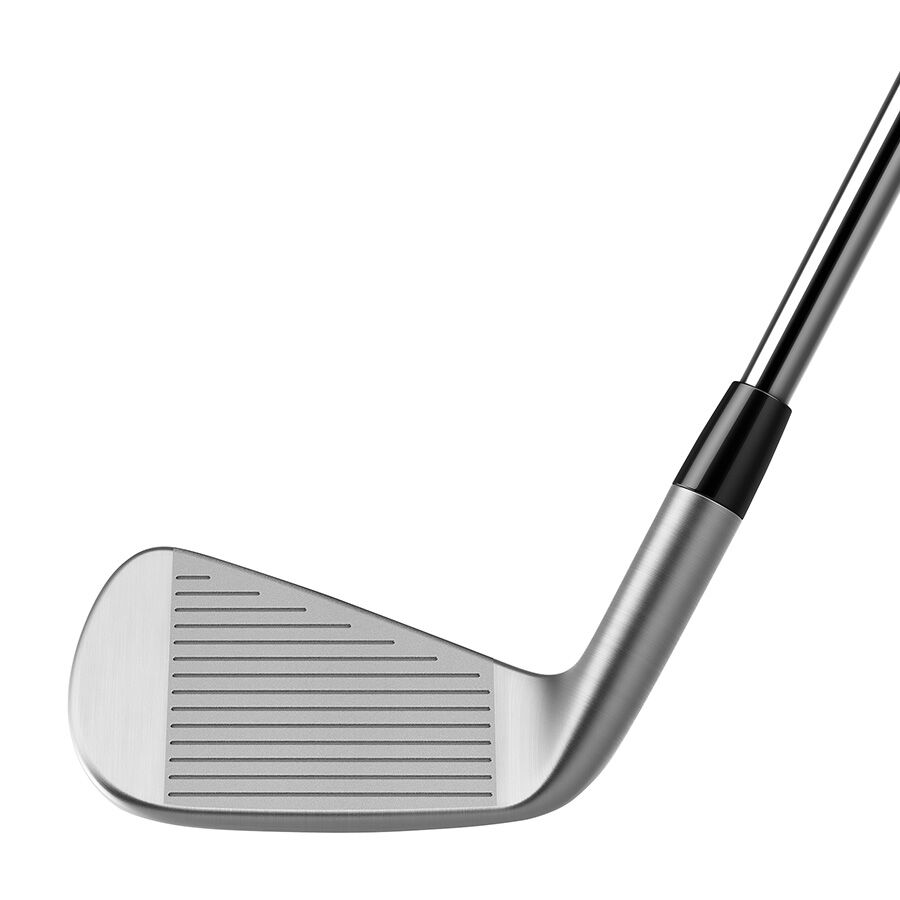 TaylorMade P-790 Individual Irons
