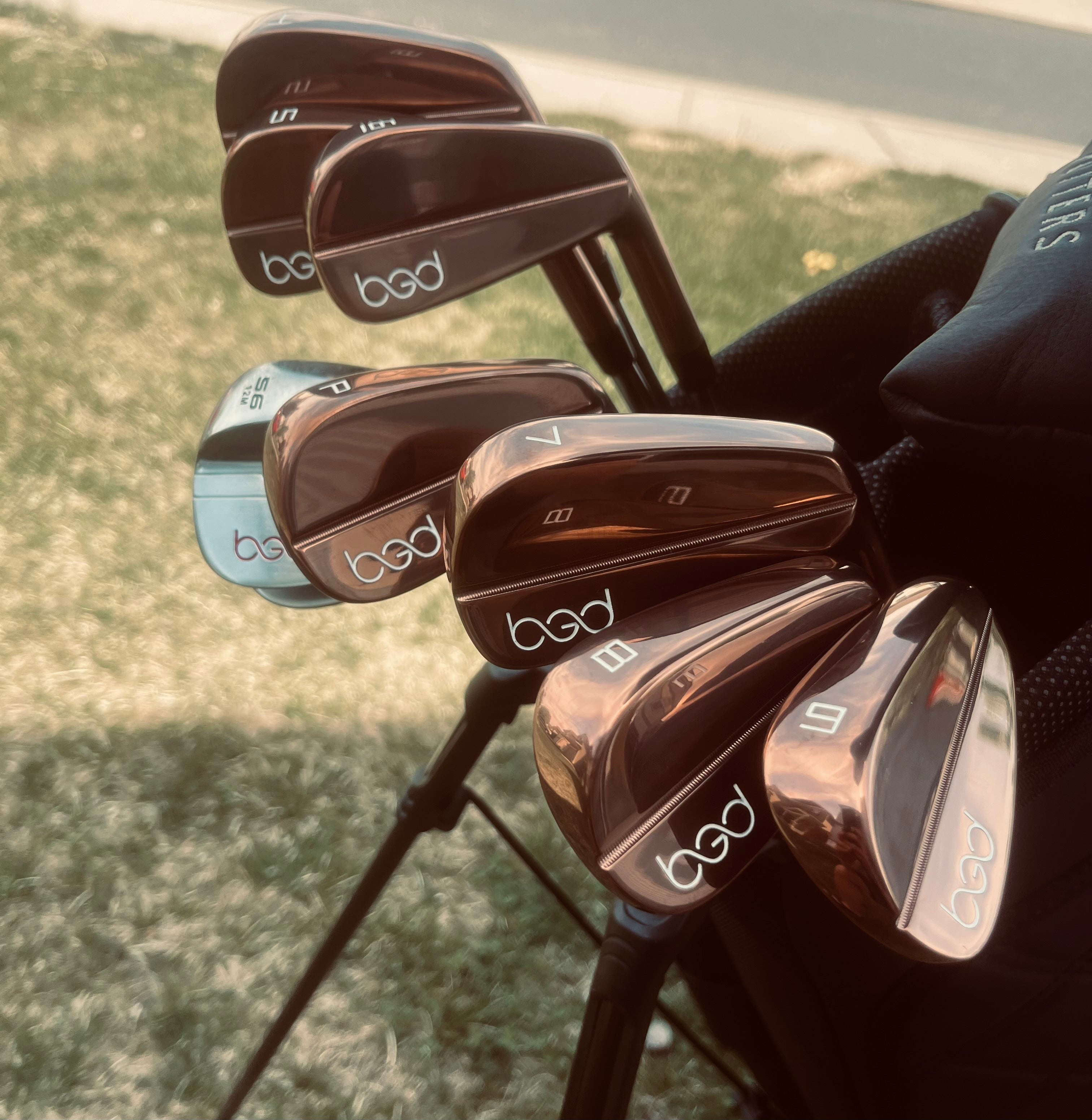 Magnolia Collection 4-PW