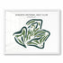 Augusta National Golf Club, Georgia - Printed Golf Courses
