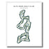 Alta Mesa, Mesa Arizona - Printed Golf Courses