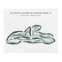 Atlantic Dunes by Davis Love III, South Carolina - Printed Golf Courses