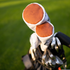 Blueprint Headcover