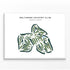 Baltimore Country Club, Maryland - Printed Golf Courses
