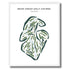 Bear Creek Golf Course, Texas - Printed Golf Courses
