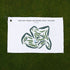 Beaver Creek Meadows Golf Course, Ohio - Printed Golf Courses