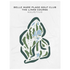 Belle Mare Plage Golf Club, The Links Course, Mauritius - Printed Golf Courses