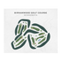 Birnamwood Golf Course, Minnesota - Printed Golf Courses