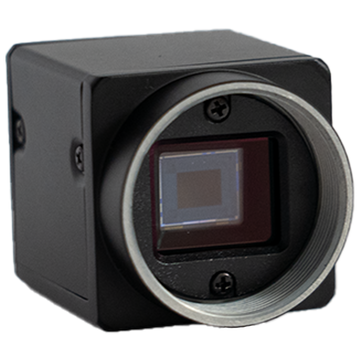 Swing Optix Cameras & Software