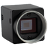 Swing Optix Cameras & Software