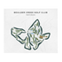 Boulder Creek Golf Club, Nevada - Printed Golf Courses