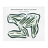Broadmoore Golf Course, Oklahoma - Printed Golf Courses