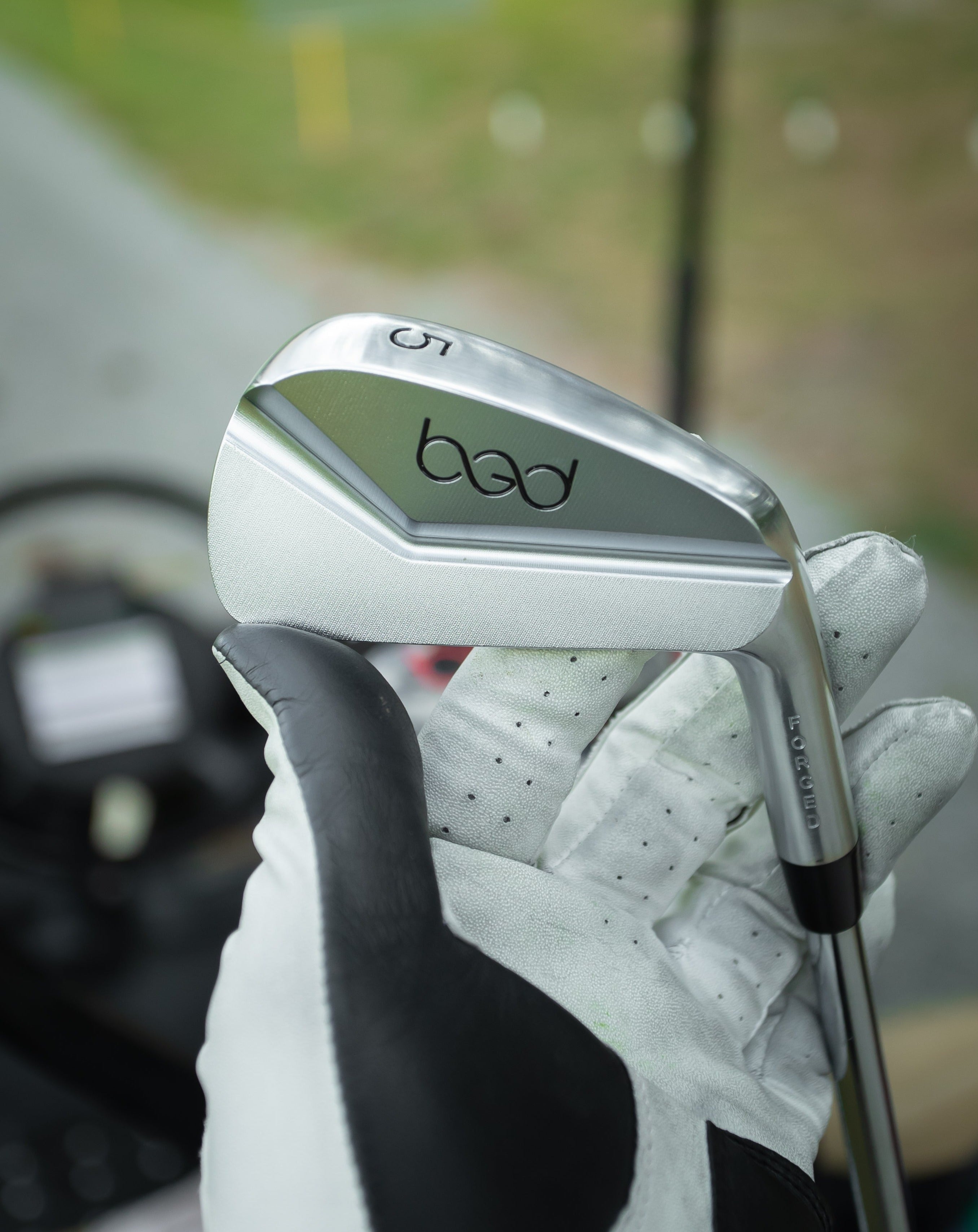 Goat Collection 4-PW