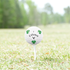 Used Callaway Chromesoft Truvis Mix Golf Balls - Bulk Mesh Bags