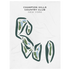 Champion Hills Country Club, New York - Printed Golf Courses