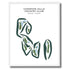 Champion Hills Country Club, New York - Printed Golf Courses