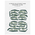 Citrus Hills Golf and Country Club, Florida - Printed Golf Courses