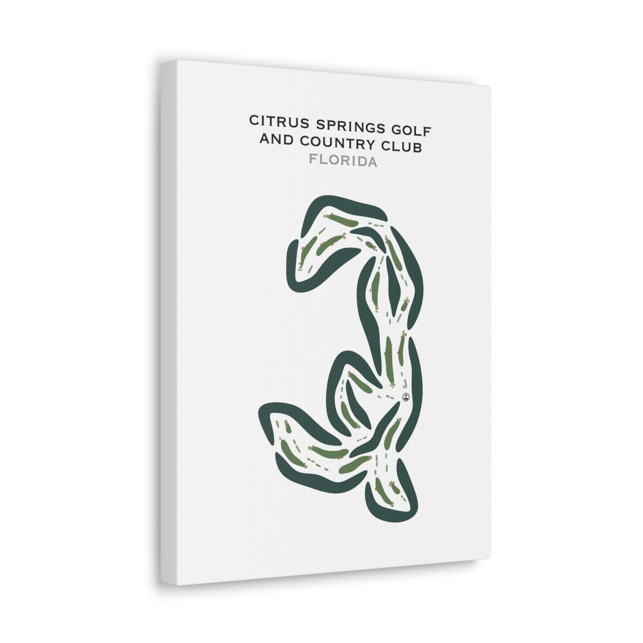 Citrus Springs Golf and Country Club, Florida - Printed Golf Courses