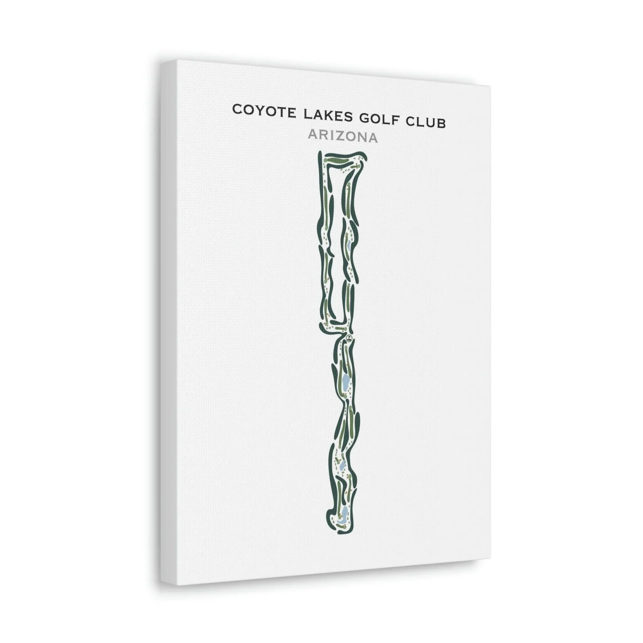 Coyote Lakes Golf Club, Arizona - Printed Golf Courses