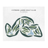 Cypress Lakes Golf Club, Cantonment, Florida - Printed Golf Courses