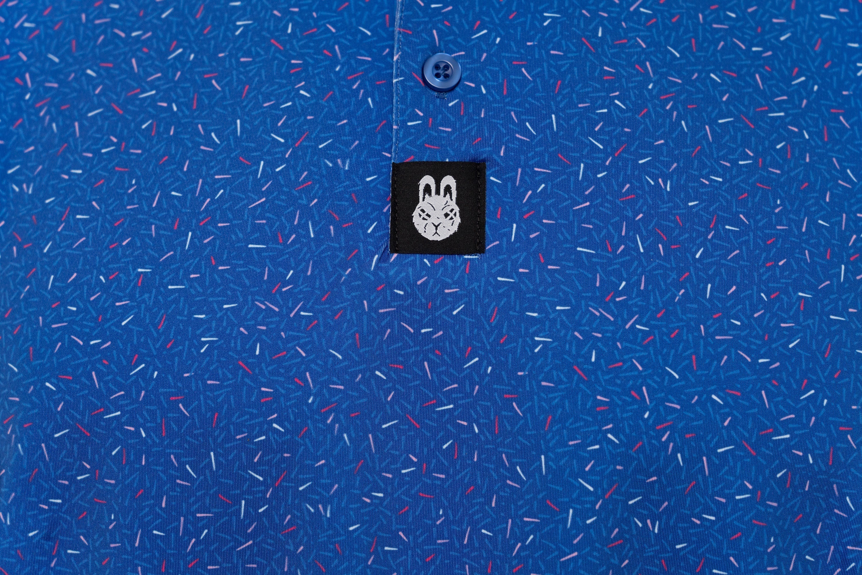 The Big Bang Polo