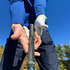 DC Tour Bundle