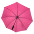 Frosted Animal Cookie | 60" Golf Umbrella | Oversized Golf Umbrella | Elephant Camel Rhino Lion