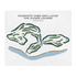 Diamante Cabo San Lucas The Dunes Course, Mexico - Printed Golf Courses
