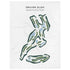 Druids Glen, Washington - Printed Golf Course