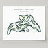 Dumbarnie Golf Links, Scotland - Printed Golf Course