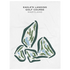 Eagle's Landing Golf Course, Maryland - Printed Golf Courses