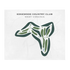 Edgewood Country Club, West Virginia - Printed Golf Courses