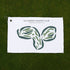 Ellinwood Country Club, Massachusetts - Printed Golf Courses