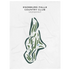 Enosburg Falls Country Club, Vermont - Printed Golf Courses