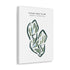 Finley Golf Club, North Carolina - Printed Golf Courses