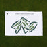 Forest Park Country Club, Adams, Massachusetts - Printed Golf Courses