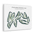 Four Oaks Country Club, Massachusetts - Printed Golf Courses