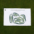 Four Seasons Country Club, Missouri - Printed Golf Courses