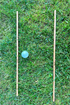 Hazy Short Game Sticks (20”)