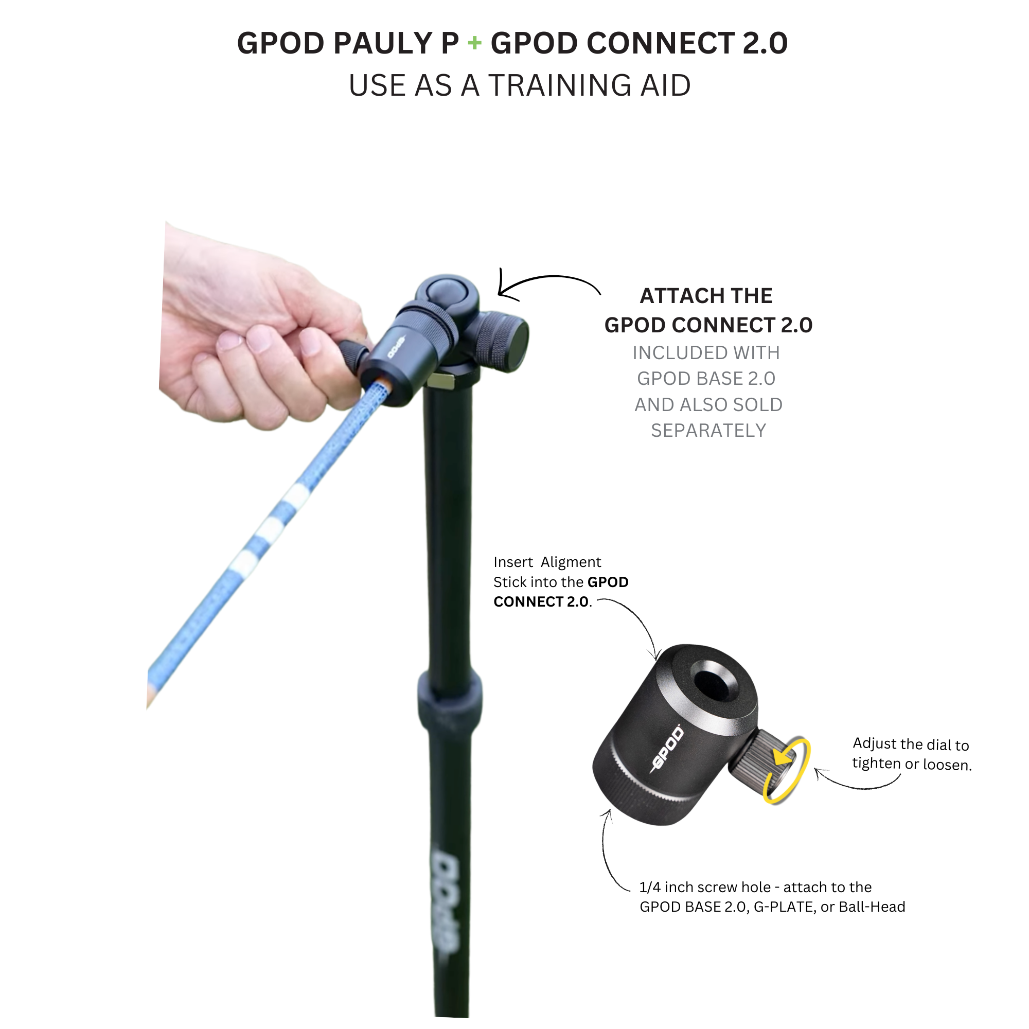 GPOD Pauly P