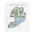 Harborside International Golf Course, Illinois - Printed Golf Courses
