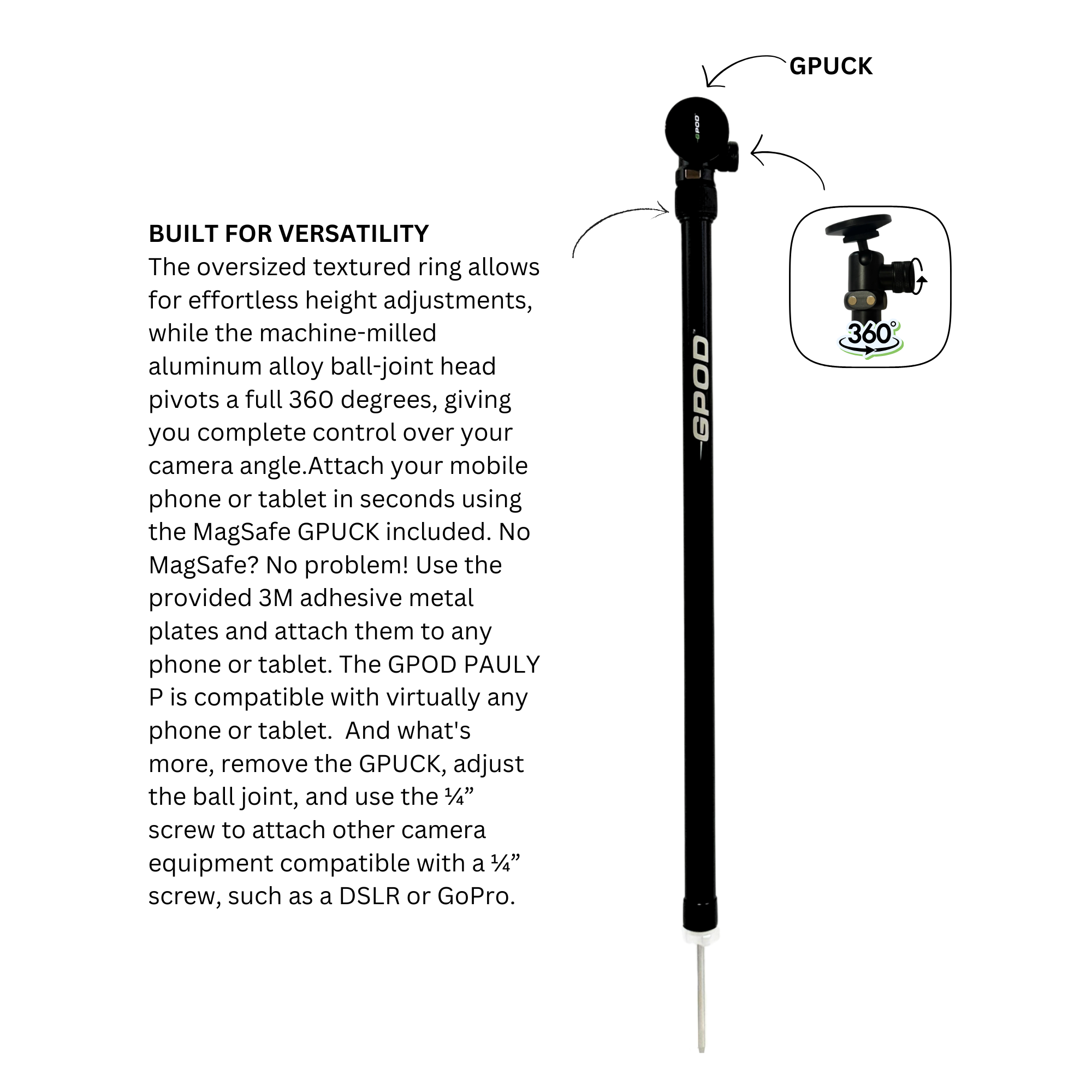 GPOD Pauly P + Base Bundle