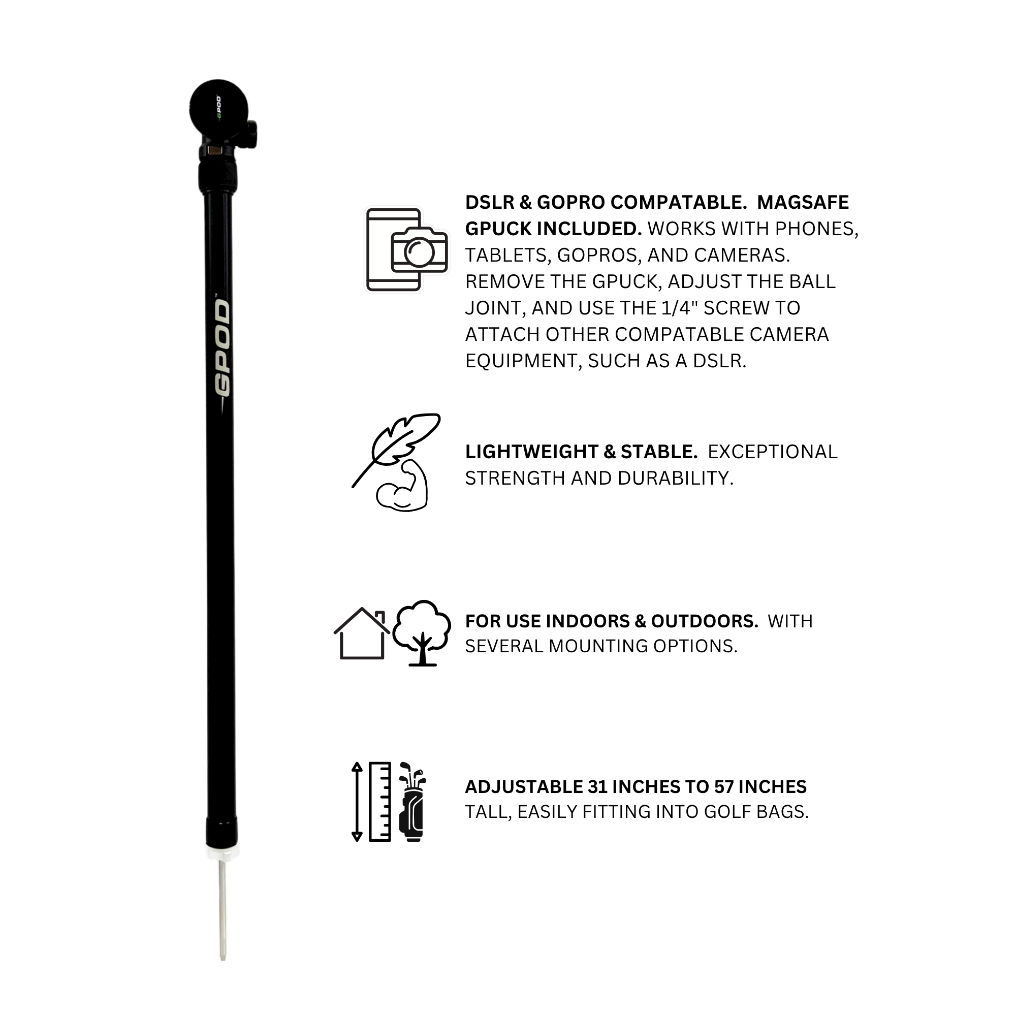 GPOD Pauly P + Base Bundle