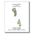 Custom Hole In One Design