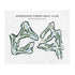 Homestead Farms Golf Club, Washington - Printed Golf Courses