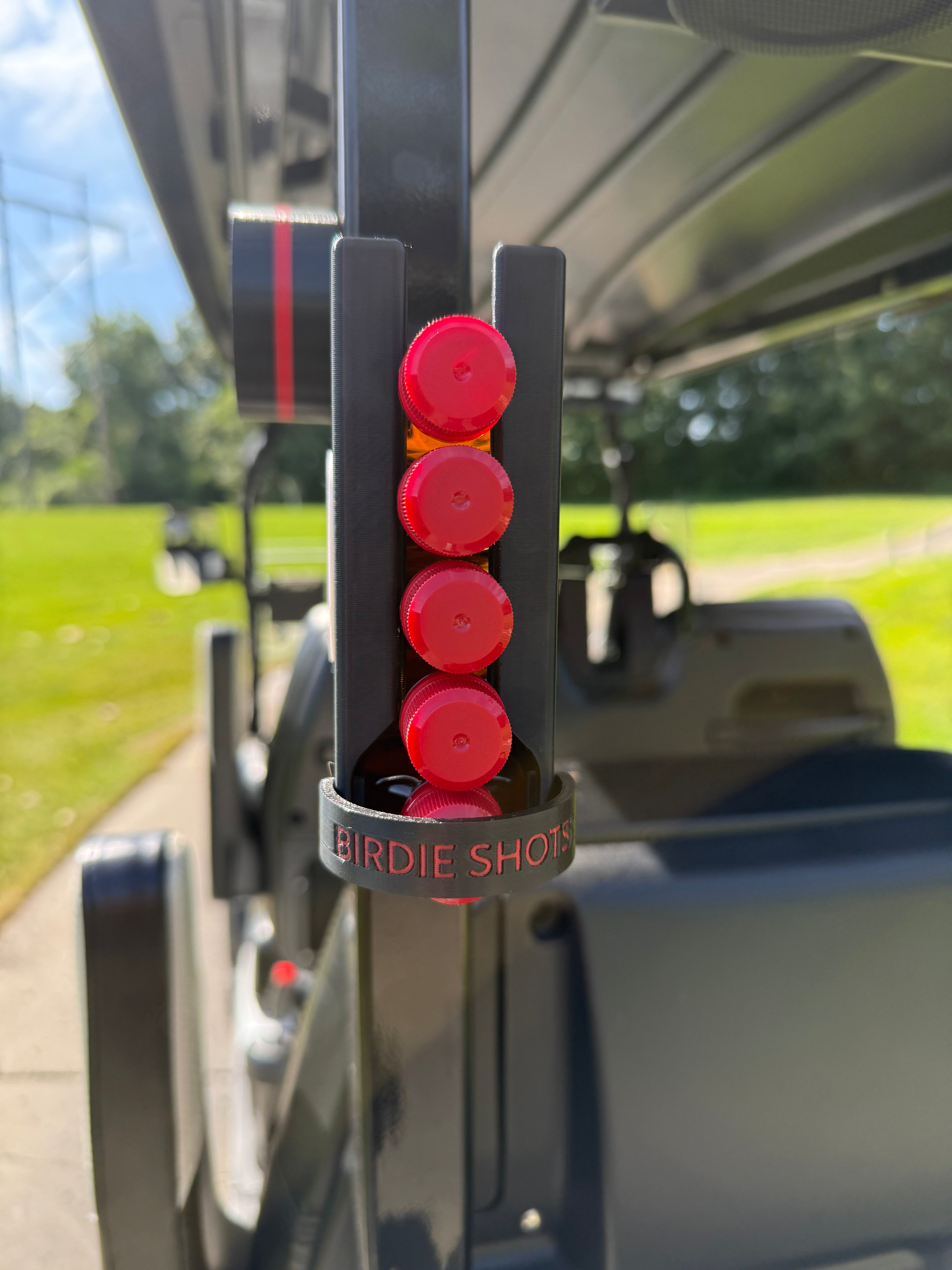 Birdie Shots TM