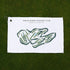 Indian Ridge Country Club, Massachusetts - Printed Golf Courses