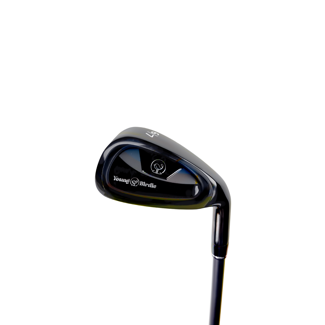 The Complete Starter Golf Set for Kids