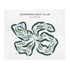 Jacaranda Golf Club, Florida - Printed Golf Courses